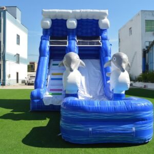 Toboggan Gonflable Aquatique Couple Dauphin 9m