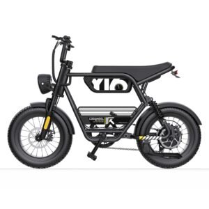 E-BIKE Y16
